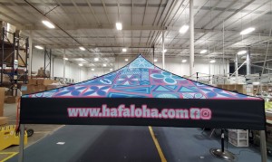 10ft Aluminum Canopy Tent